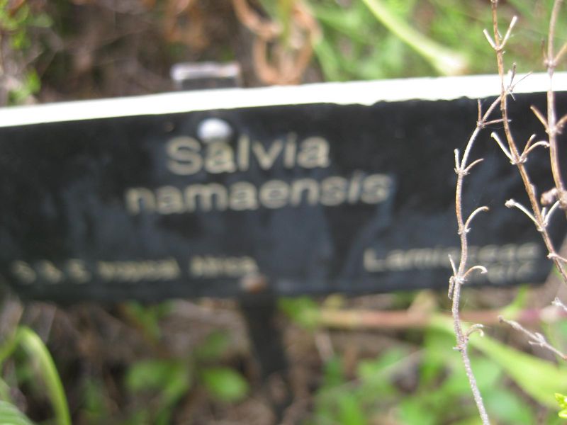 File:IMG 5171 hunt0904.jpg