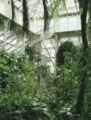 Inside Kew Gardens Palm House