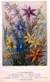 Thumbnail for version as of 10:44, 11 July 2007