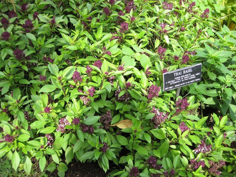 File:1280px-IMG 0590 bbg09.jpg