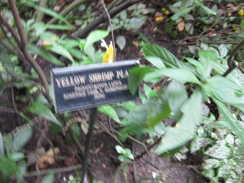 File:1280px-IMG 1133 bbg09.jpg