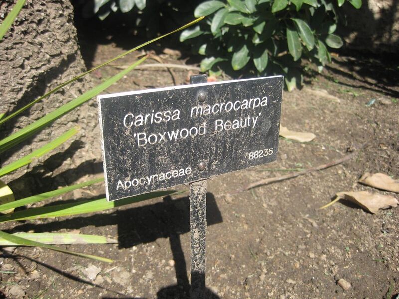 File:1280px-IMG 1997 hunt0903.jpg