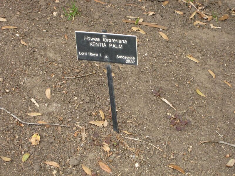 File:1280px-IMG 3929 hunt0904.jpg