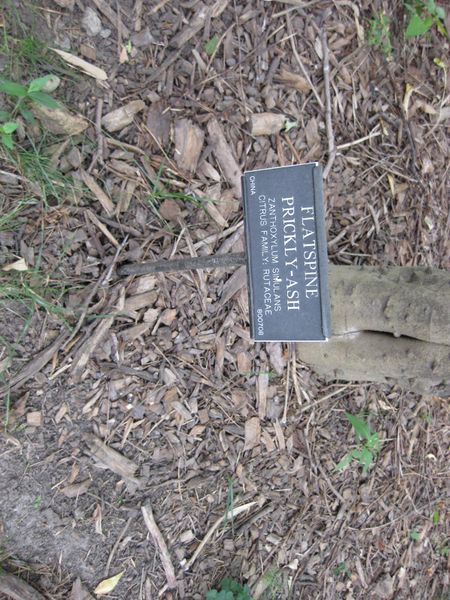 File:IMG 1310 bbg09.jpg