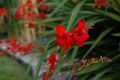 Thumbnail for version as of 10:04, 5 June 2007