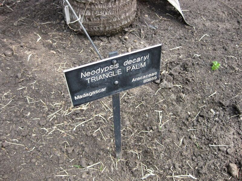 File:1024px-IMG 4147 hunt0904.jpg