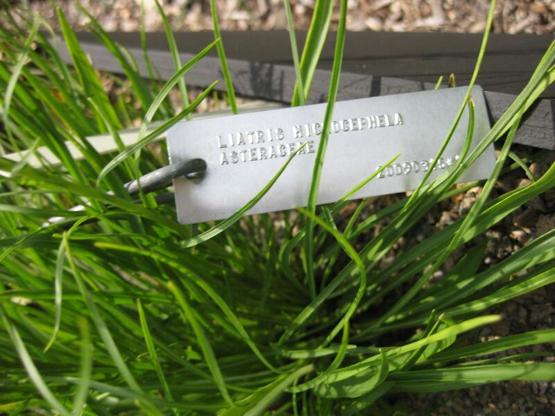 File:1280px-IMG 0583 bbg09.jpg