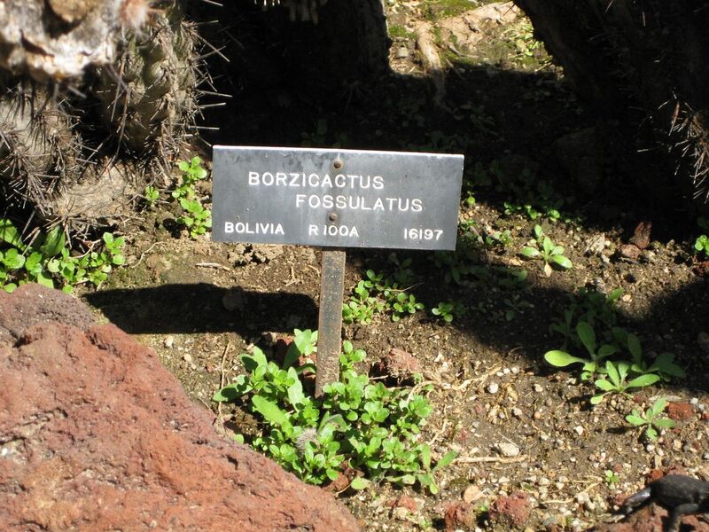 File:1280px-IMG 2489 hunt0903.jpg