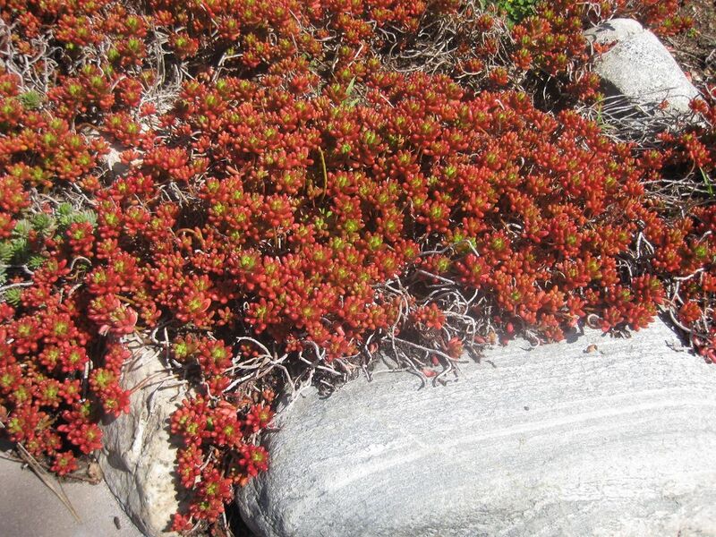 File:1280px-IMG 2364 hunt0903.jpg