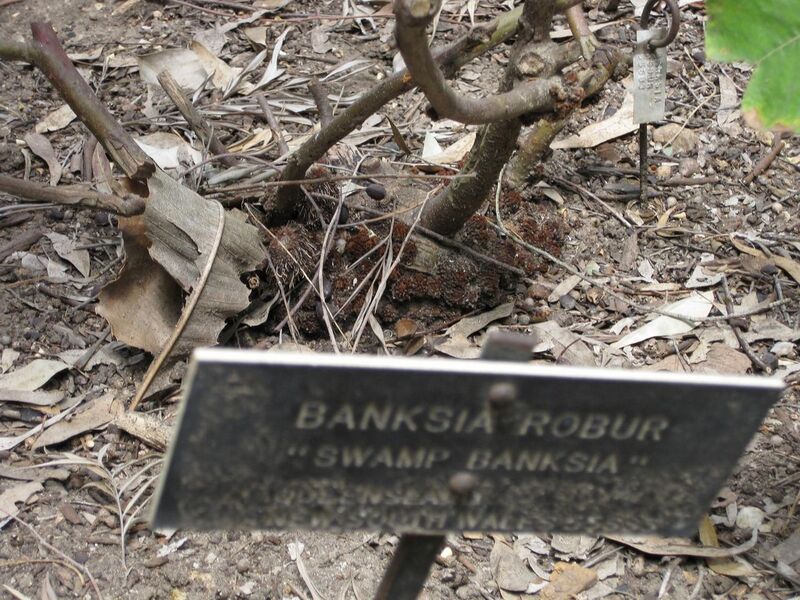 File:1280px-IMG 4615 hunt0904.jpg