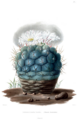 Thumbnail for version as of 09:02, 29 April 2025