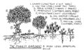 Thumbnail for version as of 15:25, 7 May 2007