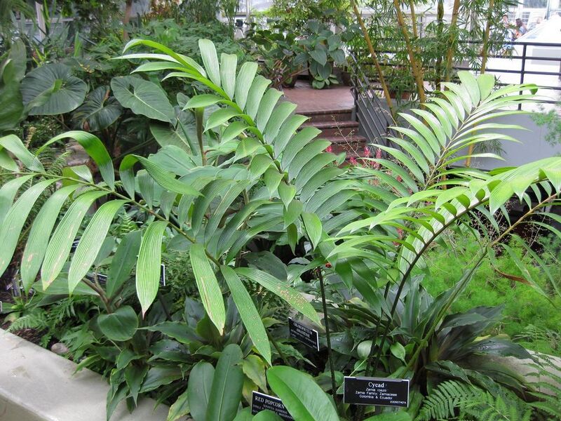 File:1024px-IMG 0915 bbg09.jpg