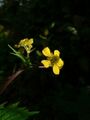 Thumbnail for version as of 10:22, 29 April 2025