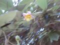 Thumbnail for version as of 10:33, 29 April 2025