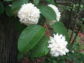 Thumbnail for version as of 05:19, 3 October 2007