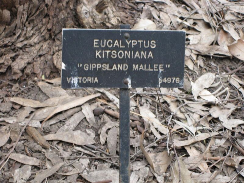 File:1024px-IMG 4607 hunt0904.jpg
