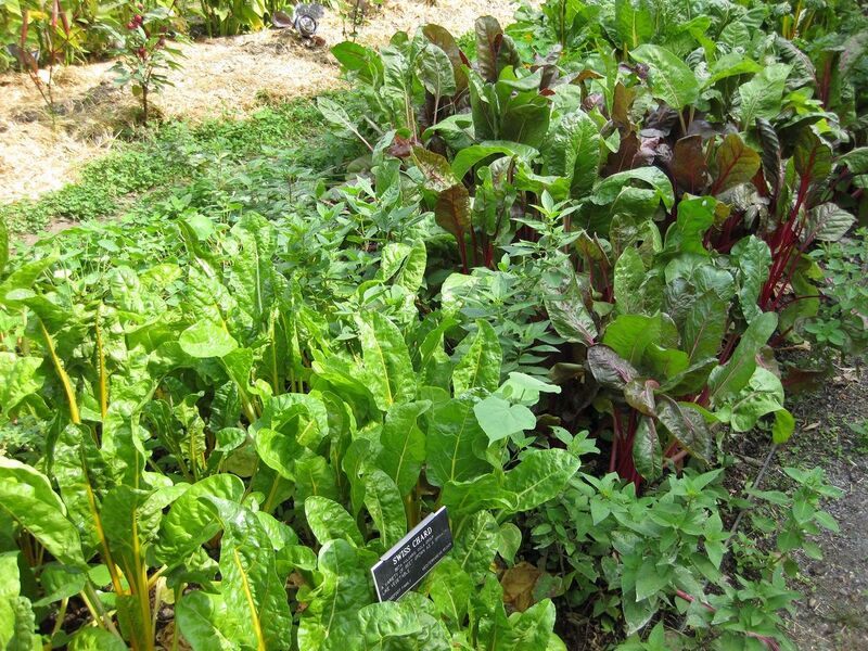 File:1280px-IMG 0598 bbg09.jpg