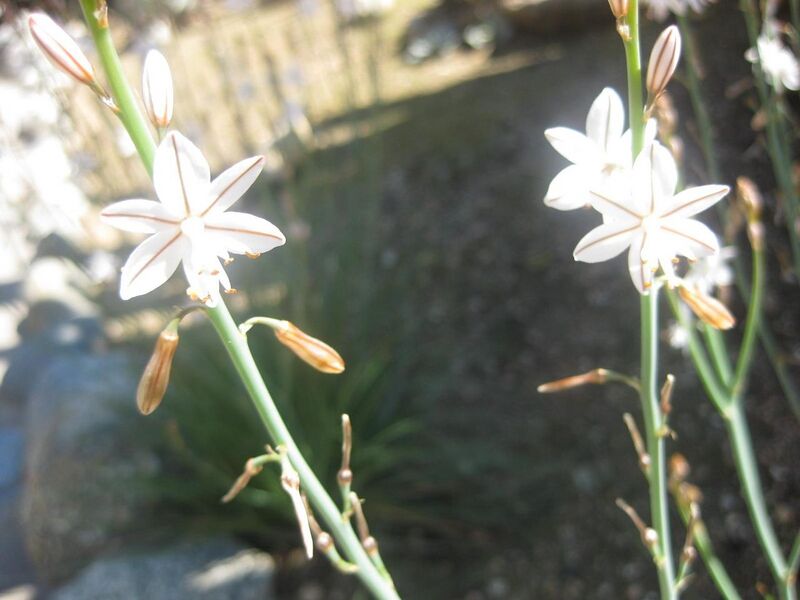 File:1280px-IMG 2396 hunt0903.jpg