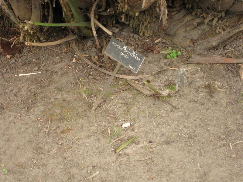 File:1280px-IMG 4022 hunt0904.jpg