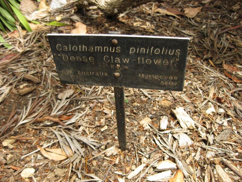 File:1280px-IMG 7310 hunt09jun.jpg