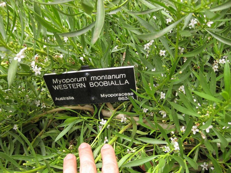 File:1280px-IMG 7321 hunt09jun.jpg