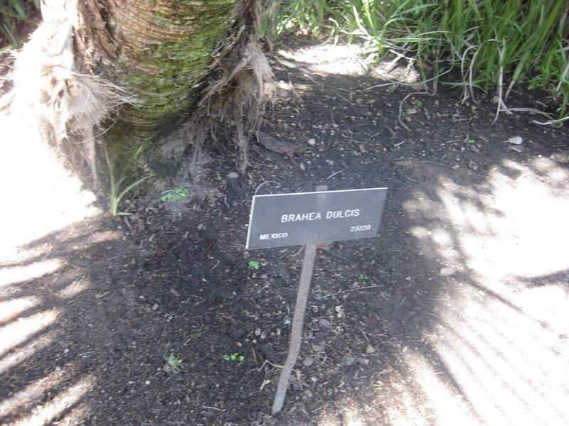 File:1024px-IMG 2070 hunt0903.jpg