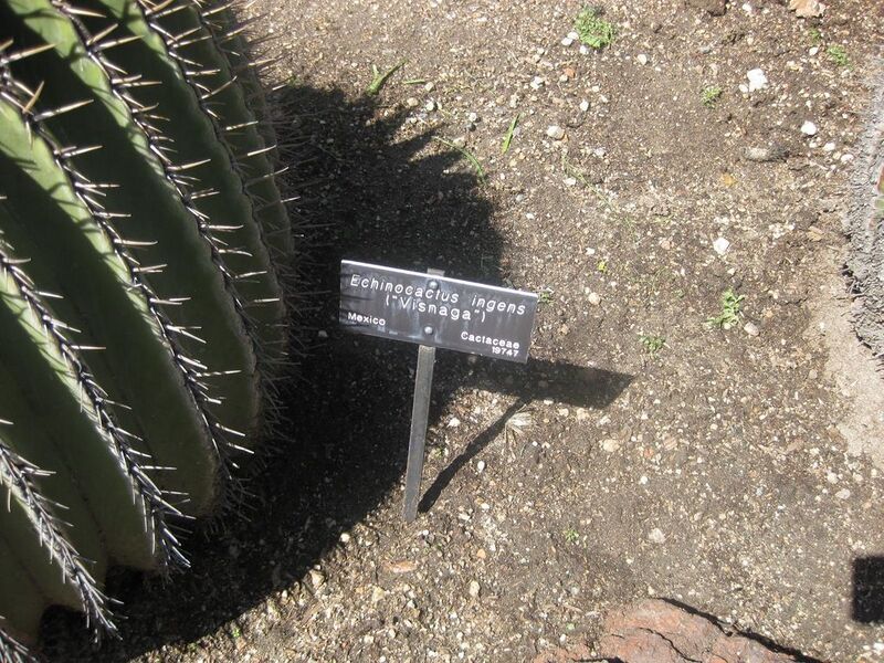 File:1024px-IMG 2218 hunt0903.jpg