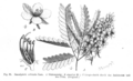 Thumbnail for version as of 13:21, 10 October 2007