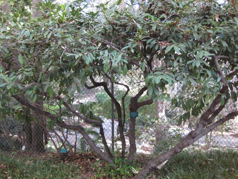File:Lvssgttf2sp09s47l3dq5iqyo9sf3ar.jpg