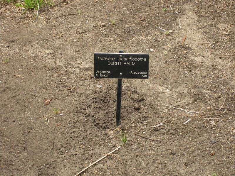 File:1024px-IMG 4100 hunt0904.jpg