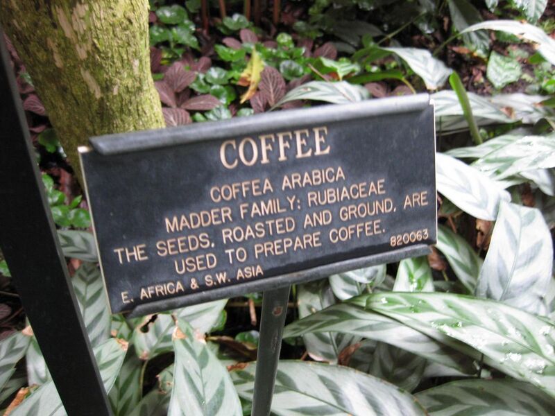 File:1280px-IMG 1139 bbg09.jpg