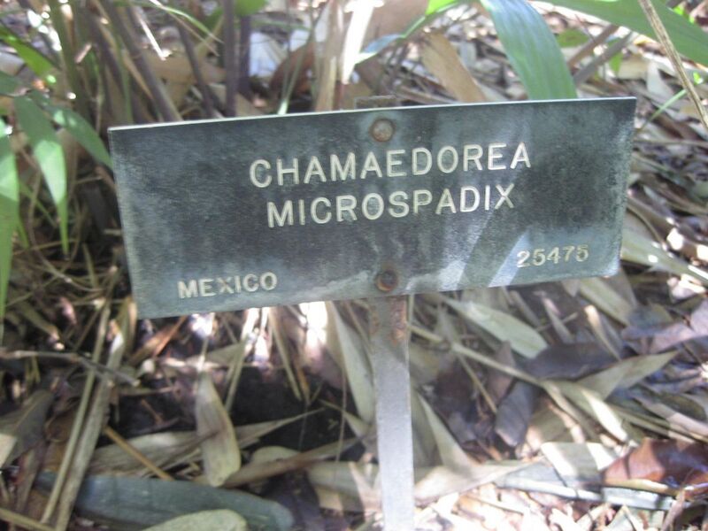 File:1280px-IMG 2050 hunt0903.jpg