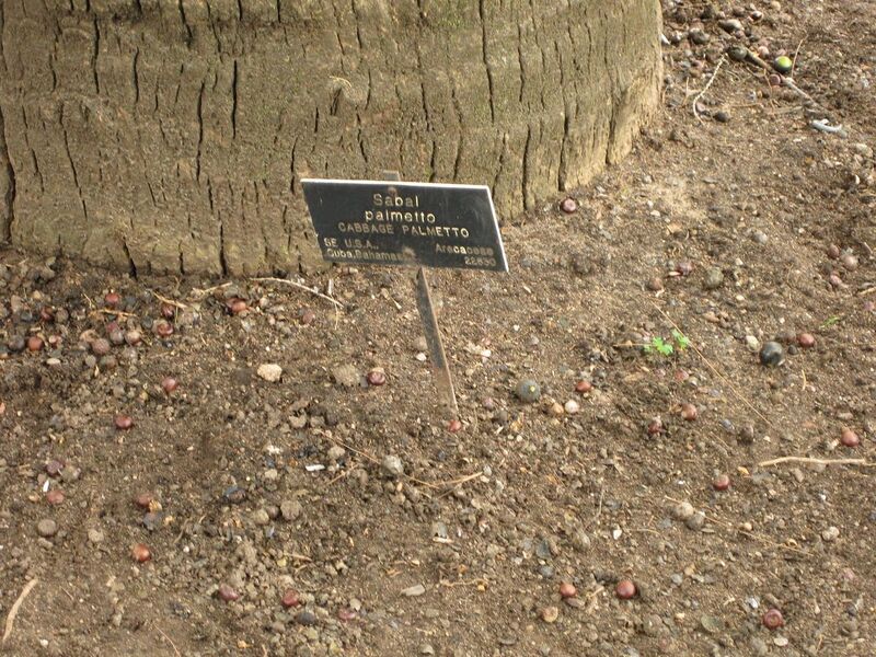 File:1280px-IMG 3970 hunt0904.jpg