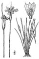 Thumbnail for version as of 10:32, 29 April 2025
