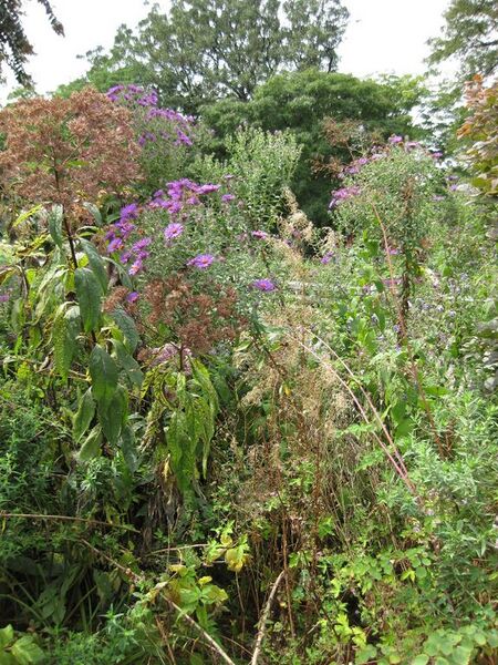 File:576px-IMG 0842 bbg09.jpg