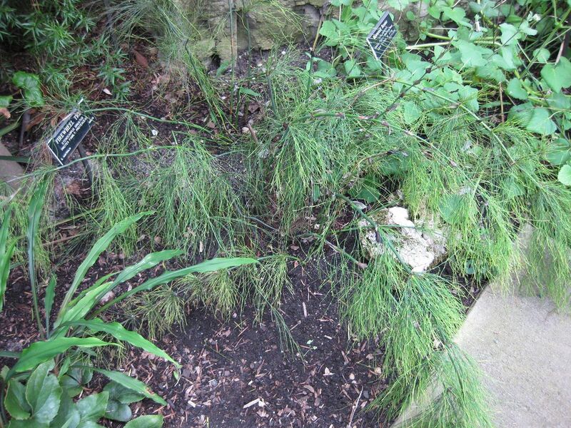 File:1280px-IMG 1223 bbg09.jpg