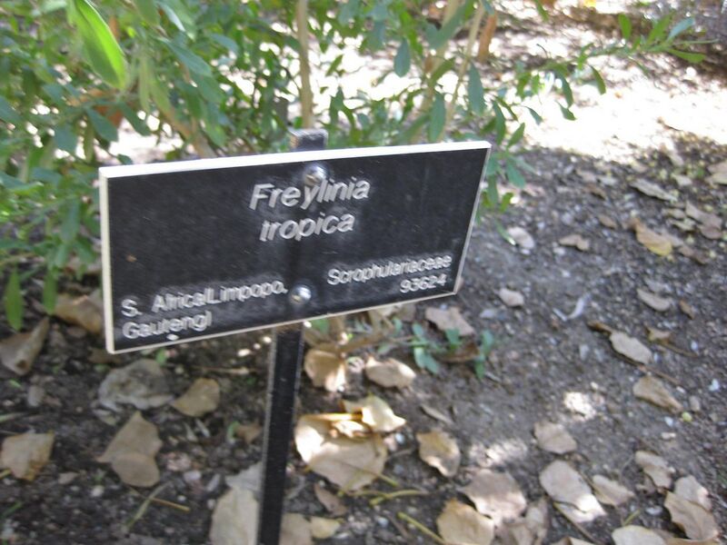 File:1280px-IMG 1937 hunt09oct.jpg