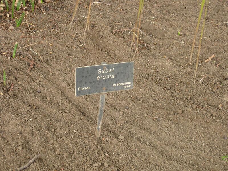 File:1280px-IMG 3944 hunt0904.jpg