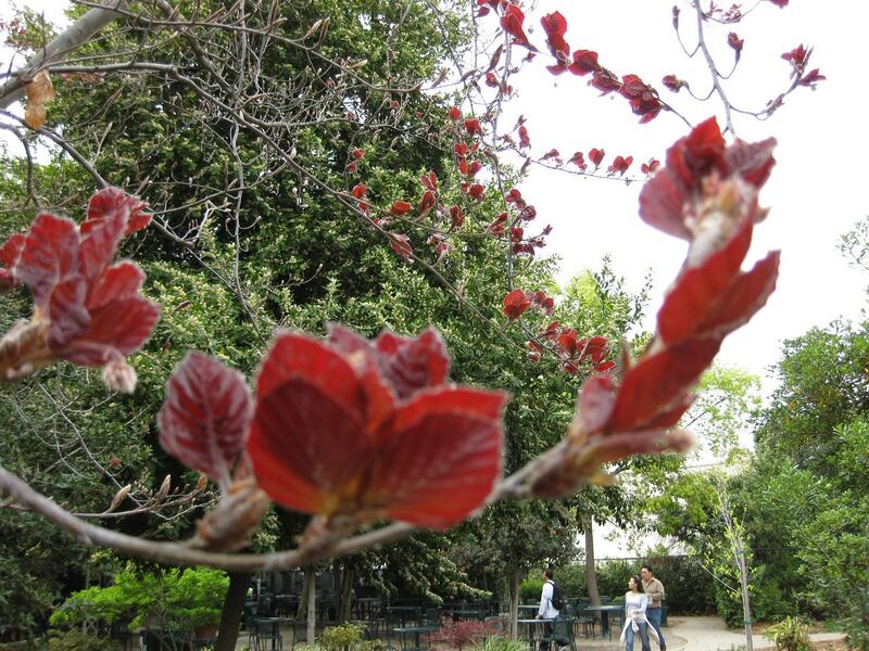 File:1280px-IMG 5214 hunt0904.jpg