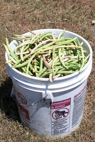 File:512px-White Acre 2.jpg