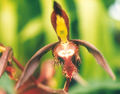 Thumbnail for version as of 10:22, 27 June 2007