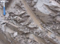 Thumbnail for version as of 07:06, 22 June 2007