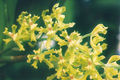 Thumbnail for version as of 11:34, 2 May 2007