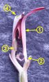 Thumbnail for version as of 09:46, 23 July 2007