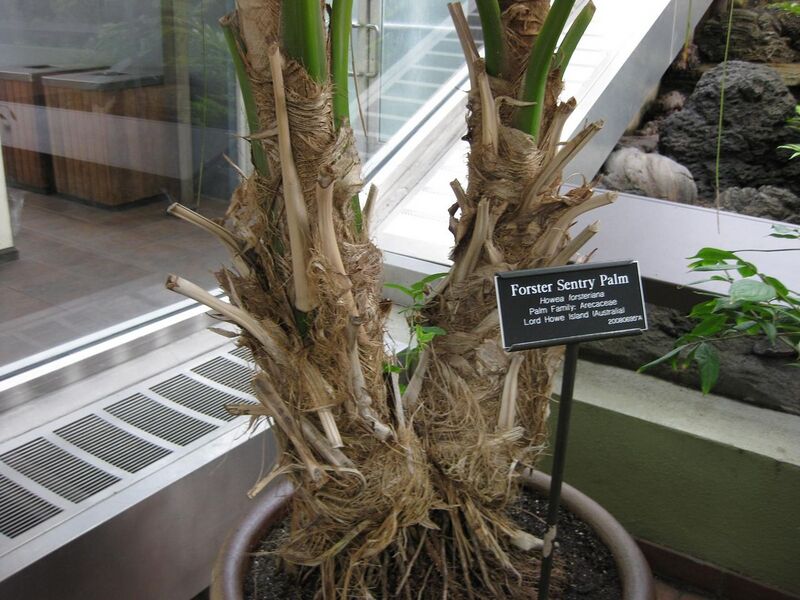 File:1280px-IMG 0892 bbg09.jpg