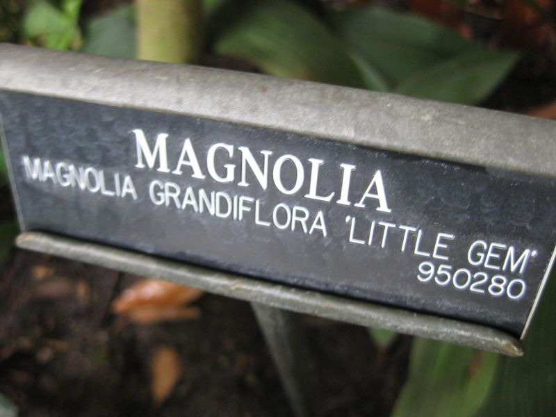 File:IMG 0950 bbg09.jpg