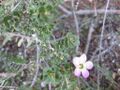 Thumbnail for version as of 10:07, 29 April 2025