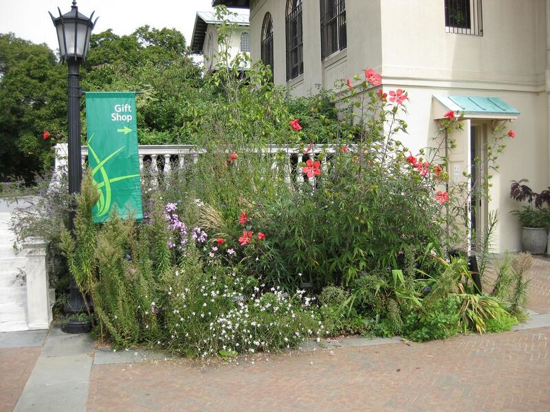 File:1280px-IMG 0817 bbg09.jpg