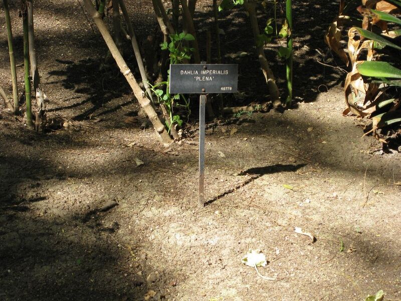 File:1280px-IMG 1950 hunt09oct.jpg